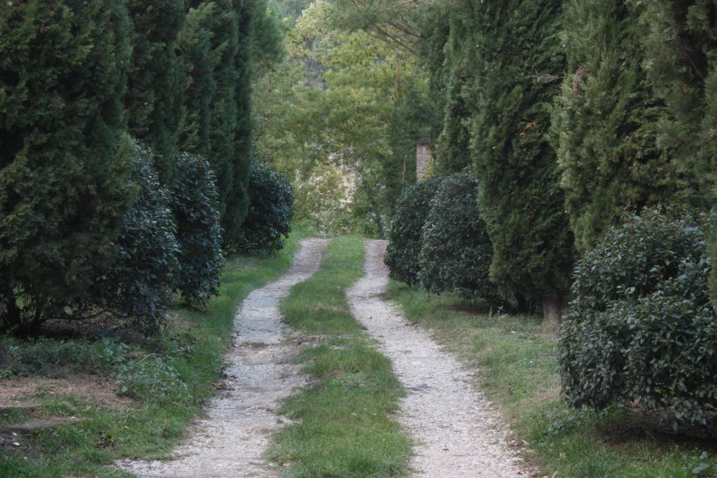 Il Molinaccio Al Rio Chiaro Villa Civitella d'Agliano ภายนอก รูปภาพ